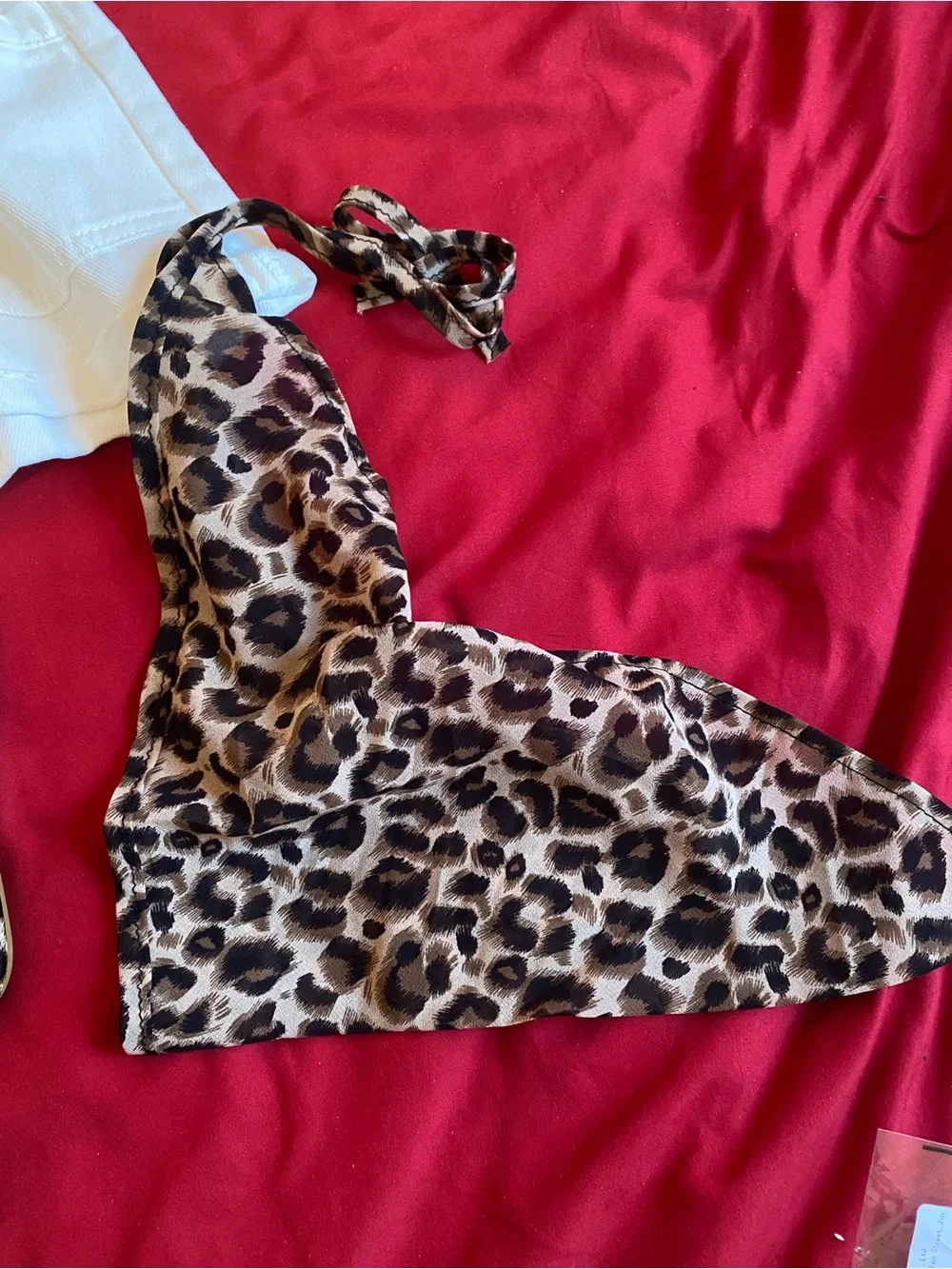 Girl (4-5y) lot